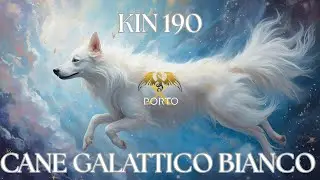 KIN 190 - CANE GALATTICO BIANCO @portox1199
