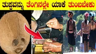 ಶಬರಿಮಲೆ - ತೆಂಗಿನಕಾಯಿಯಲ್ಲೇ ತುಪ್ಪ ತುಂಬುವ ಮಹತ್ವ ಏನು ಗೊತ್ತ | why ayyappa devotee carry ghee in coconut