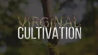 Medicinal plants cultivation