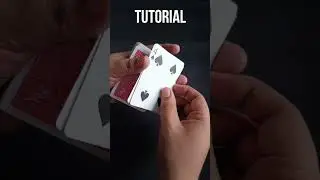 Let's Learn The Paintbrush Color Change