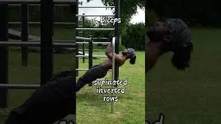 Build an Aesthetic Physique with Calisthenics