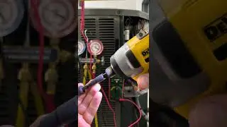 DeWalt flip sockets are great
