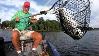 Lake Murray Stripers, August Flutter Spoon action.