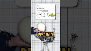 Ostrich Egg Vs Chicken Egg