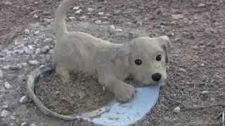 Earth's Most Haunted Pet Cemetery - Boulder City, Nevada
