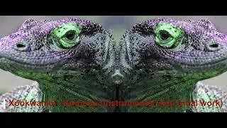 Xookwankii - Komodo ( insttumental tribal Zeni&acute;s work)