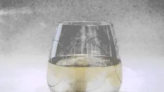 Drop. Fizz.  Terry Naturally CuraMed Effervescent - coming soon!