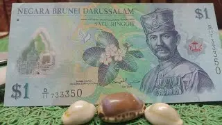 293 - বিদেশি ব্যাংক নোট সংগ্রহ  || Rare Foreign Banknote Collection || Banknotes