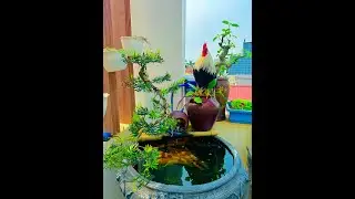Latest simple and effective snake trap ideas 2025 #snake #animal #wildlife #shorts#trending #shorts