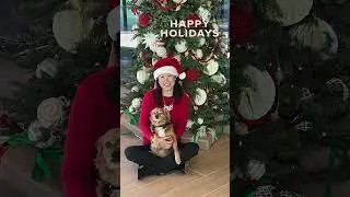 Happy Holidays from Julie and Jasper | San Diego Coastal Luxury Group | 25 December 2024