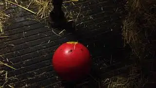 Bertie using the trickle feeder