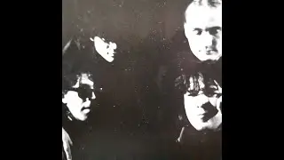 VOX POPULI - Swimming In A Shallow End
