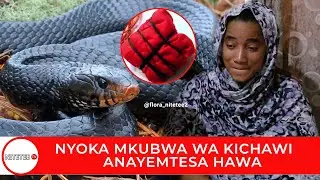 NYOKA MKUBWA WA KICHAWI ANAYEMTESA HAWA