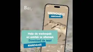 #WADDOEJIJ voor wadvogels?