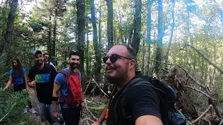 Πεζοπορία 