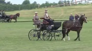 Dressuur Enkelspan pony S.W.M. Biddinghuizen 15 juni 2013