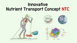 Innovative Nutrient Transport Concept NTC