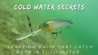 Mastering Cold Water Bass Fishing: Reaction Baits and Underwater Footage
