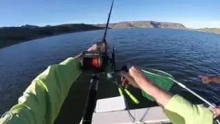 Blue Mesa salmon fishing