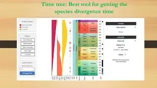 Timetree: Determining the Divergence time of species