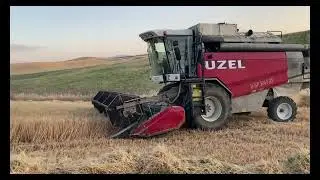 Harvesting barley with UZEL harvester Döverbiçer ile arpa biçimi #UZEL #biçerdöver #newholland #bcs 