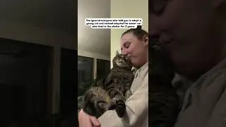 Why I Chose to Adopt a Senior Cat ❤️