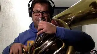 Wynona's Big Brown Beaver (Bass cover on a tuba)