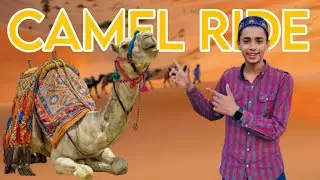 RAMADAN MAIN FRIENDS KAY SAATH CAMEL RIDE KARI 🐫😍
