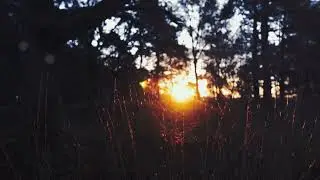 Wind & Earth Nature Sounds with Relaxing Music | Deep Calm & Focus