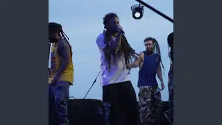 Digits in the Trap 1