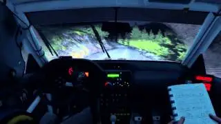 Dirt Rally - Best rally game in about 10 years?
