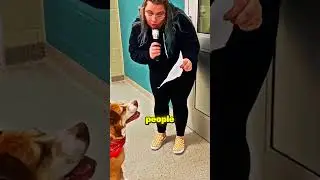 Собака из приюта, которая никогда не сдавалась 💔😭 #короткаялента