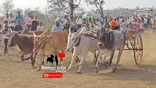 भव्य बैलगाडी शर्यत राजीवली मानट माणगाव.(लहान गट)