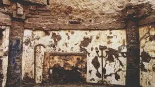 The Cats Before the Cats: How Leopard Cats Lived Among Ancient Chinese Societies for Millennia