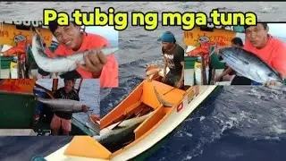 Mag ice woter na ng mga tuna #tunafishing #viralvideo #FishingAdventure #gensanfishing 