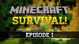 Minecraft FTB Infinity Beyond Modded Survival Ep.1 - New World!