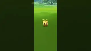 Shiny Seed Pokemon! Pok&eacute;mon Go!