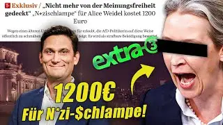 TUTORIAL: Citizen convicted because of Alice Weidel! How to properly insult the AfD!