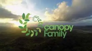 CANOPY FAMILY, PANAMA