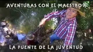 Toros de Ruiz Miguel: aventuras en la fuente de la juventud, traslado vacas | Toros desde Andalucía