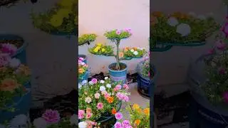 ✨ This Hack Instantly Makes Your Garden Look Fancy! 🪴 | porch designs for front of house in village