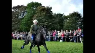 Конный праздник в Витославлицах