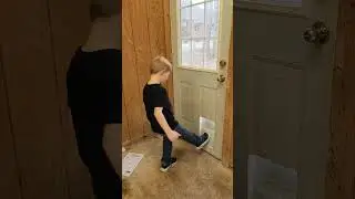 Cat Door Installation
