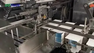 Disposable Mask Cartoning Machine