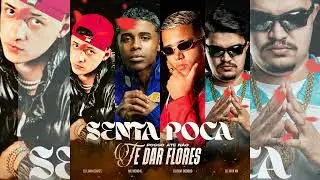 SENTA POCA (POSSO AT&Eacute; N&Atilde;O TE DAR FLORES) DJ Luan Gomes, DJ Davi DogDog, DJ Japa Nk & MC Menor K