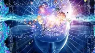 Yellow Lightning: Brain & Nervous System