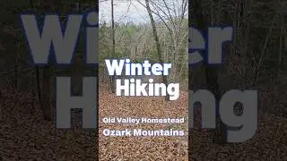 Winter Hiking #OldHomestead #valley #ozarkmountains #hike #trekking #nature #woods #asmr #shorts