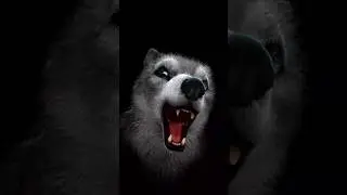 भेड़िया सियार  #shortfeed #bhediya #siyar #bhoot #cortoon #catdog