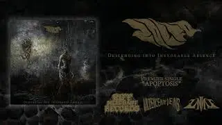 Zolfo - Apoptosis (Official Audio)