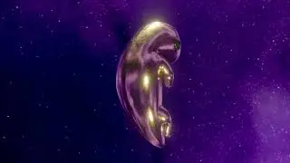 The Golden Space Fetus